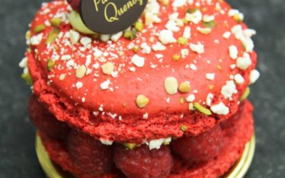 2014-Tournai-Belgique Macaron Framboise By Pouchkar Ilia at Boutique Quenoy 1864 And Photography By Pouchkar Ilia